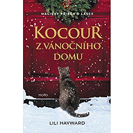 Cat from the Christmas House - Lili Hayward