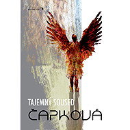 Mysterious neighbour - Monika J. Čapková