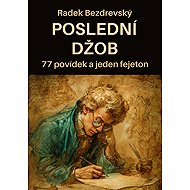 The last job - Radek Bezdrevský