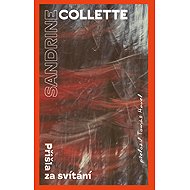 She came at dawn - Sandrine Collette