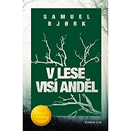 In the forest hangs an angel - Samuel Bjork