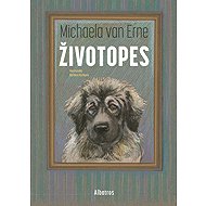 Respiratory - Michaela Erne van