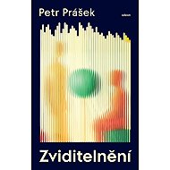 Visibility - Petr Prášek