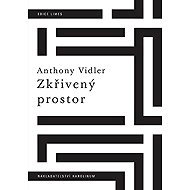 Curved space - Anthony Vidler
