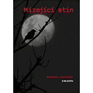 The Disappearing Shadow - Marcela Oslislok