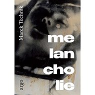 Melancholy - Marek Technik