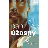 Mr. Wonderful - R.S. Grey