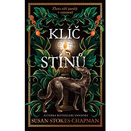 The Key of Shadows - Susan Stokes-Chapman