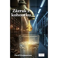 Miracle on tap - Pavel Hrejsemnou