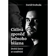 The sensitive confession of a fool - David Svoboda