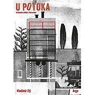 By the brook - Vladimír Zlý