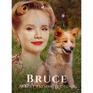 Bruce - Albert Payson Terhune