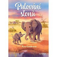 Wandering elephants - Jennifer Coulmannová