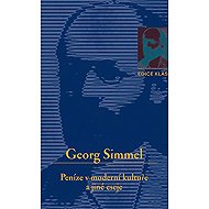 Money in Modern Culture and Other Essays - Georg Simmel