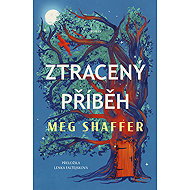 The Lost Story - Meg Shaffer