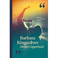 Demon Copperhead - Barbara Kingsolver
