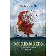 As long as you can - Aleš Dostál