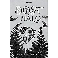 Dost málo - Markéta Kubínová