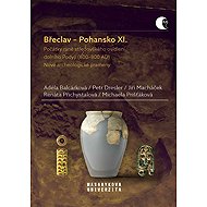 Breclav - Pohansko XI. - Jiří Macháček