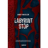 Labyrint stôp - Andy Maslen