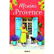 A month in Provence - Gillian Harvey