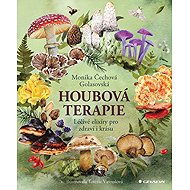 Mushroom therapy - Monika Golasovská