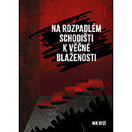 On the broken staircase to eternal bliss - Nik Ryzí