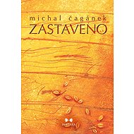 Stopped - Michal Čagánek