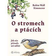 About trees and birds - Wall Kimmerer Robin