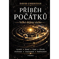 The beginning of the story - David Christian