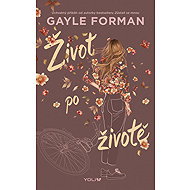 Život po životě - Gayle Forman