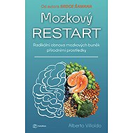A Brain Reset - Villoldo Alberto