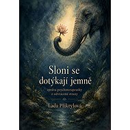 Elephants touch gently - Lada Přikrylová