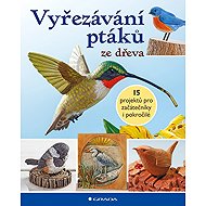 Vyřezávání ptáků ze dřeva - kolektiv a