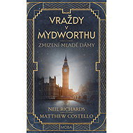 The Disappearance of a Young Lady - Matthew Costello