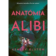 Anatomy of an Alibi - Heather Morrisová