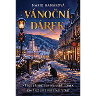 Vánoční dárek - Marie Hamáková