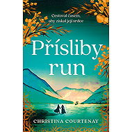 Promises of runes - Christina Courtenay
