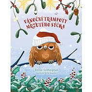 The grumpy little owl's Christmas troubles - Britta Sabbagová