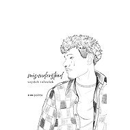 Misunderstood - Vojtěch Valousek