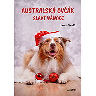Australian shepherd celebrates Christmas - Leona Tomšů