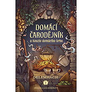 The home wizard and the Magic of the hearth - Delemhach