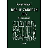 Where the catch lies - doc. MUDr. Pavel Kohout