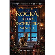 Kočka, která zachránila Vánoce - Lili Hayward