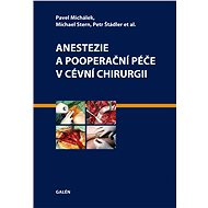 Anestezie a pooperační péče v cévní chirurgii - Pavel Michálek  Michael Stern  Petr Štádler