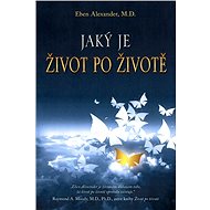 Jaký je život po životě - Alexander Eben