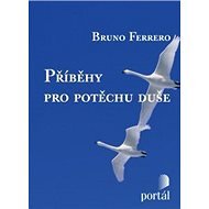 Příběhy pro potěchu duše - Bruno Ferrero