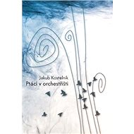 Ptáci v orchestřišti - Jakub Kostelník