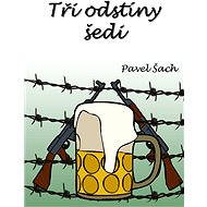 Tři odstíny šedi - Pavel Šach