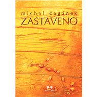 Zastaveno - Michal Čagánek